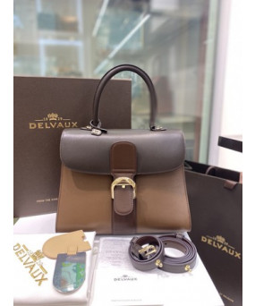 델보 브리앙 박스백 미듐